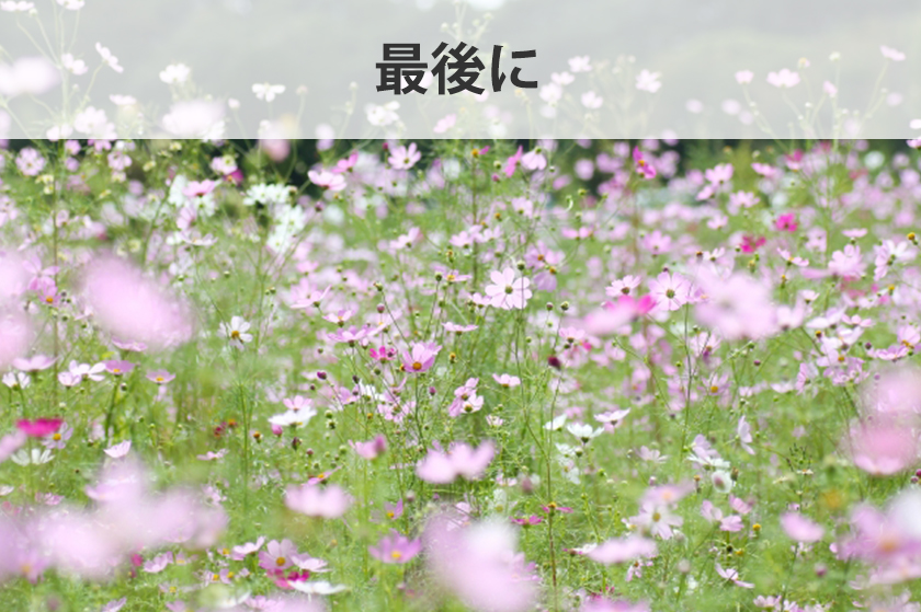 アフィリエイトで使う画像GIF・JPEG・PNG 3種類の画像形式について