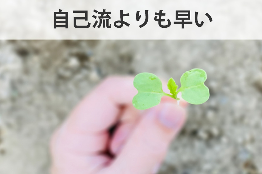 アフィリエイトで後発組が稼ぐ1つの方法