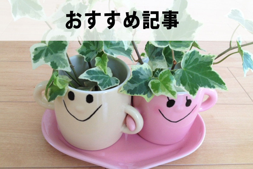 パワーサイトとは何か？アフィリエイトサイトの作り方