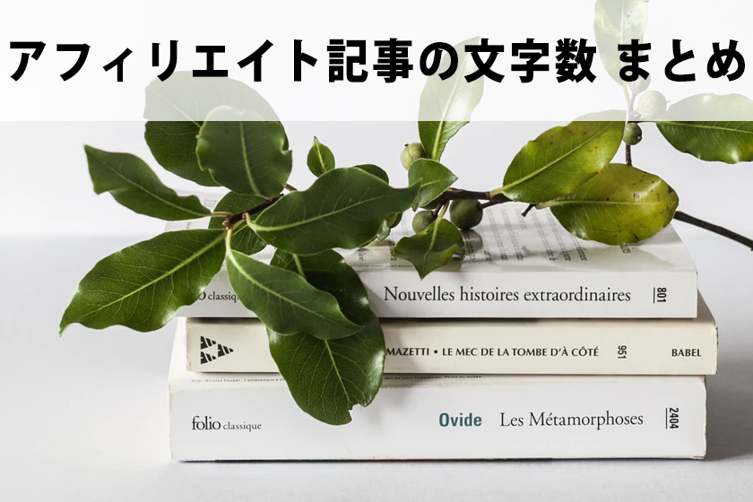 【2021年】アフィリエイト記事の文字数は何文字が良いのか?
