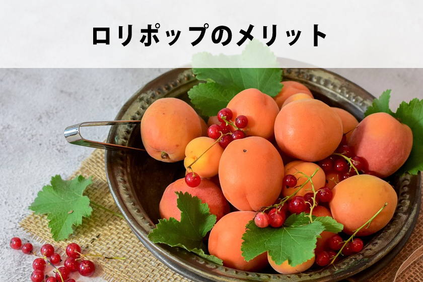 エックスサーバーとロリポップを比較！初心者におすすめなのは？