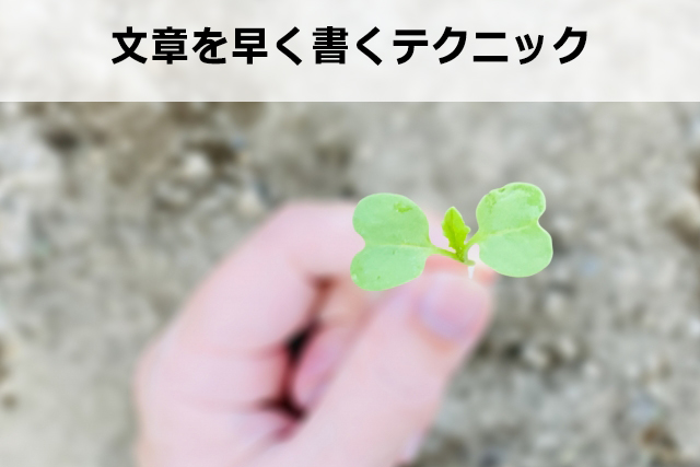 記事を早く書くために必要な4つのポイント【毎日更新の秘訣】
